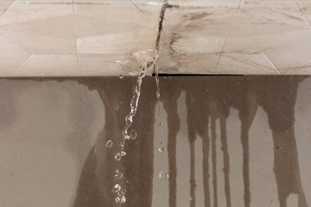 Professional Water Damage Repair technician working in Anza, CA